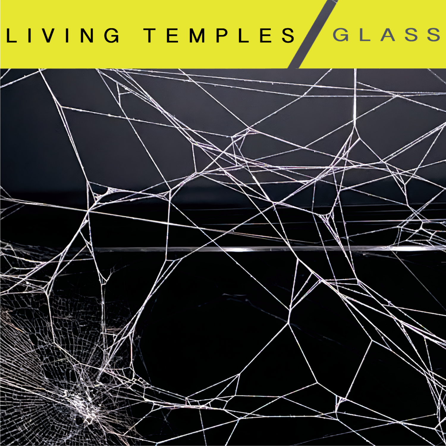 MD156_Living-Temples_GLASS-COVER