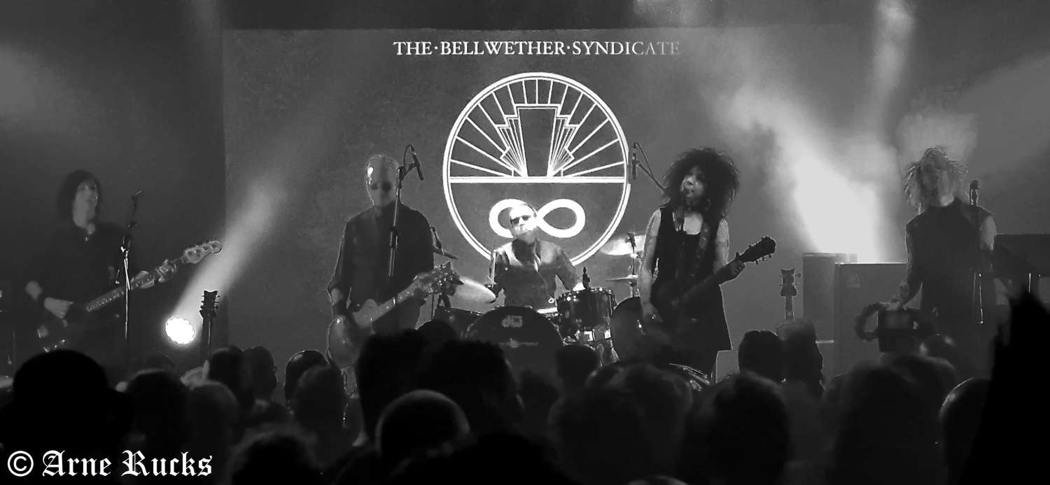 The-Bellwether-Syndicate_SW